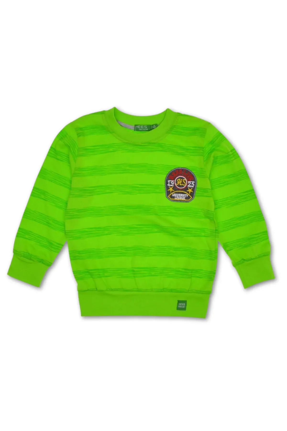 Erkek Çocuk Mevsimlik Sweatshirt Yeşil - 2 Yaş